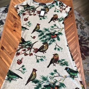 ‼️FINAL PRICE DROP‼️ Fall sweater dress